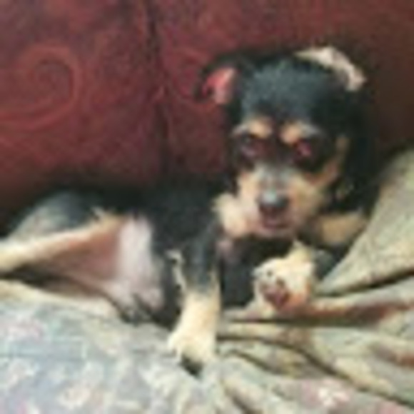 Meet your Posher, Kevin - Picture 1 of 1